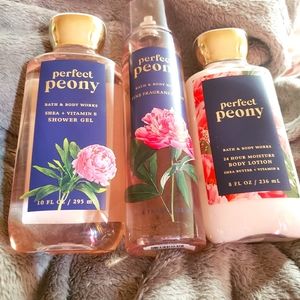 B&BW Perfect Peony Set